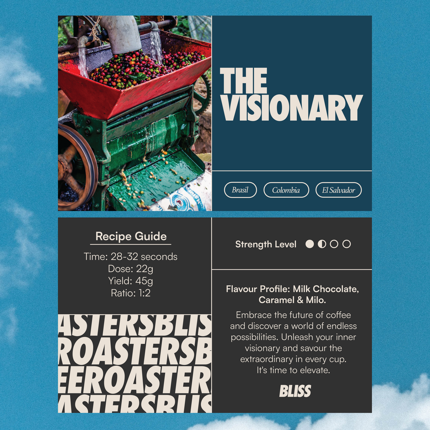 The Visionary